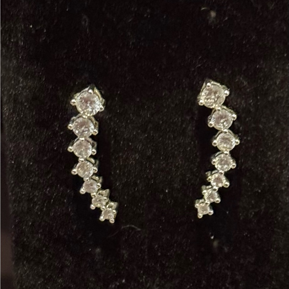 Elegant Silver Earrings